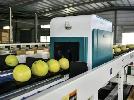 綠萌是柚子分選設備國家高新技術企業(yè)，可進行重量、大小、顏色、瑕疵外觀視覺分選，無損檢測糖度，甜度，酸度、空心、浮皮、褐變、果肉損傷、霉心病等內(nèi)部指標，提供智能全自動蜜柚分選機,蜜柚分選設備,蜜柚選果機,蜜柚選果設備,蜜柚分級機,沙田柚分揀機,柚子大小稱重分選方案和價格
