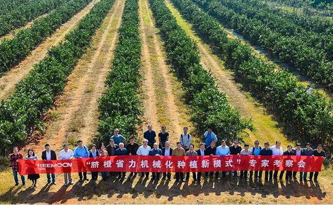 綠萌水果分選設(shè)備可進(jìn)行重量大小分級(jí)、顏色、瑕疵外觀視覺(jué)分選，無(wú)損檢測(cè)糖度，甜度，酸度、空心、浮皮、褐變、果肉損傷等內(nèi)部指標(biāo)檢測(cè)，提供智能全自動(dòng)臍橙分選機(jī),臍橙分選設(shè)備,臍橙選果機(jī),臍橙選果設(shè)備,臍橙分級(jí)機(jī),臍橙稱(chēng)重分揀機(jī),臍橙大小直徑選果，臍橙采后分選方案和價(jià)格