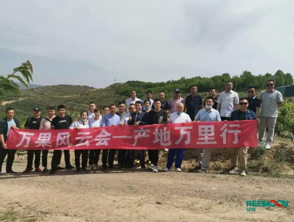 綠萌自動(dòng)化櫻桃分選設(shè)備亮相甘肅天水引起各界廣泛關(guān)注 5月29日，綠萌櫻桃自動(dòng)化分揀生產(chǎn)線在甘