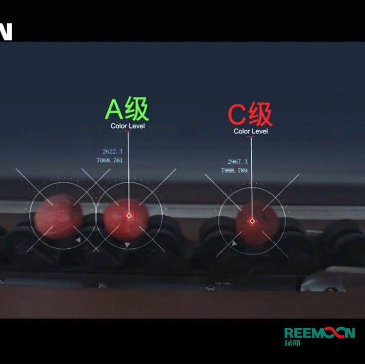 綠萌水果分選機多少錢？江西綠萌科技控股有限公司廠家直銷報價