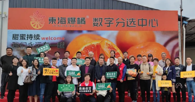 東海爆橘建立綠萌數(shù)字分選中心一陣果汁，細膩無渣，這橘子臉皮很薄，脾氣“爆”！每年秋冬季節(jié)，市場上各種各樣的橘子層出不窮，有些是黃澄澄的，有些是紅色的，讓人一看就喜歡，每年都買回來。貪心的時候找到一個，手里冰涼。我迫不及待地把它剝下來，迅速放進嘴里。那一刻橙汁從我的喉嚨滑落，整個秋冬的干燥被