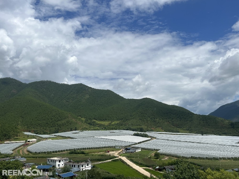 麗江市蘋果種植主產(chǎn)區(qū)海拔2400-2700米，良好的立體環(huán)境條件造就了麗江蘋果糖度高、果肉緊密、硬度高、無污染的品質(zhì)特點。2019年，在全國種植產(chǎn)區(qū)的甄選中，鑫榮懋選定了云南省麗江市蘋果優(yōu)勢產(chǎn)區(qū)作為未來蘋果種植項目的實施地，目前已種植新西蘭引進(jìn)的優(yōu)良蘋果品種。鑫榮懋以新品種、新技術(shù)及高品質(zhì)為發(fā)展蘋果種植的新契機，