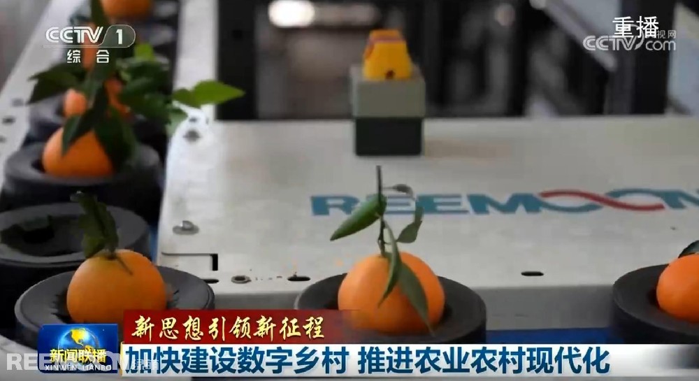 又又又上央視了2025開年見喜綠萌在半月之內(nèi)兩次登上《新聞聯(lián)播》2025年1月1日央視《新聞聯(lián)播》聚焦《甘肅省天水市麥積區(qū)南山花牛蘋果》其中一組畫面中綠萌蘋果雙通道分選線上鏡這條分揀線對蘋果的大小、色澤、瑕疵、糖度、霉心等指標(biāo)進(jìn)行精準(zhǔn)檢測分級助推花牛蘋果做大做強(qiáng)助力果農(nóng)增收致富10