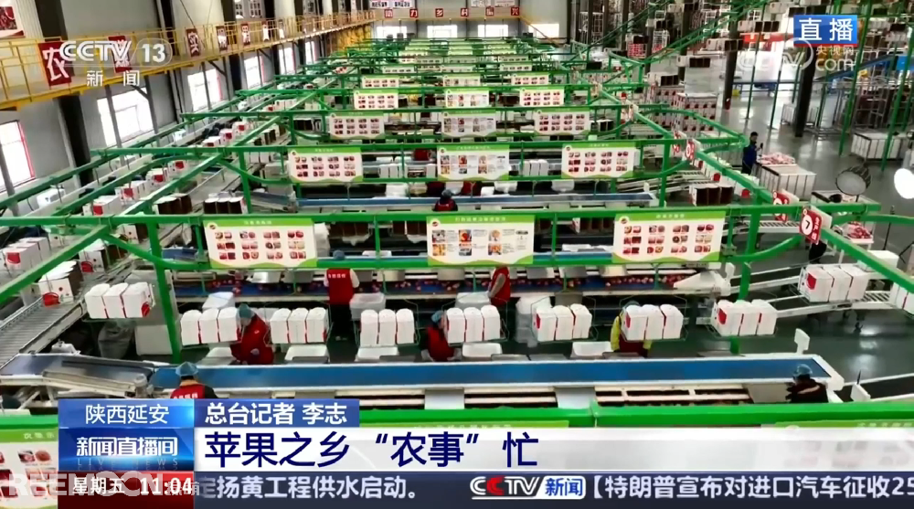 春天是希望的季節(jié)陜西延安是我國蘋果的優(yōu)生區(qū)和主產(chǎn)區(qū)蘋果之鄉(xiāng)正呈現(xiàn)出一片繁忙的景象3月28日，CCTV13新聞頻道聚焦陜西延安蘋果產(chǎn)業(yè)發(fā)展展現(xiàn)中國農(nóng)業(yè)現(xiàn)代化與鄉(xiāng)村振興的生動實踐PART.01智能分選線：給蘋果做“體檢”，助力果農(nóng)增收致富延安甘泉縣分揀車間內(nèi)綠萌智能分選設備高效運轉通過人工智能和圖像處理技術對傳送帶上的